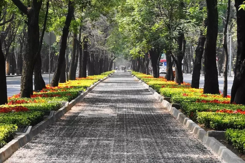 Ciudad de México