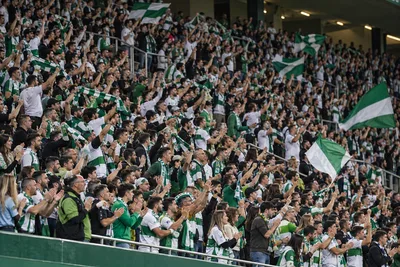Elche