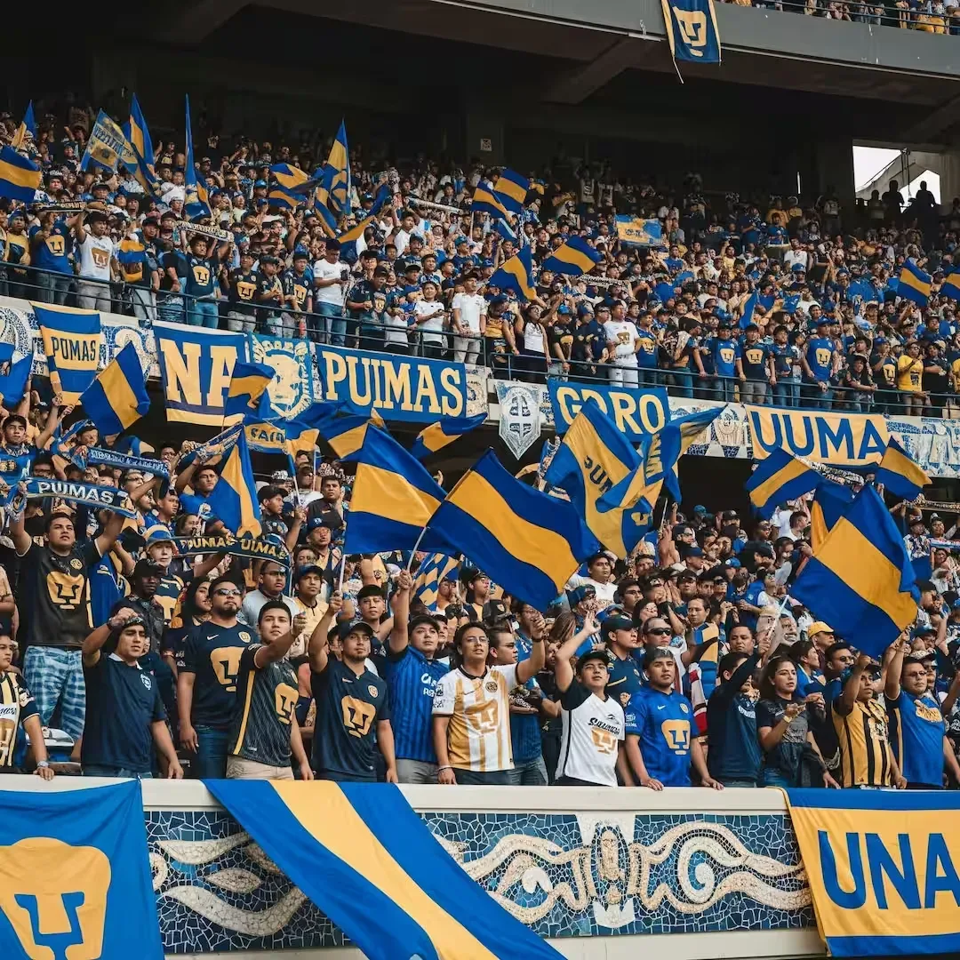 Pumas UNAM